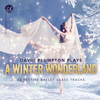 A Winter Wonderland - CD by David Plumpton